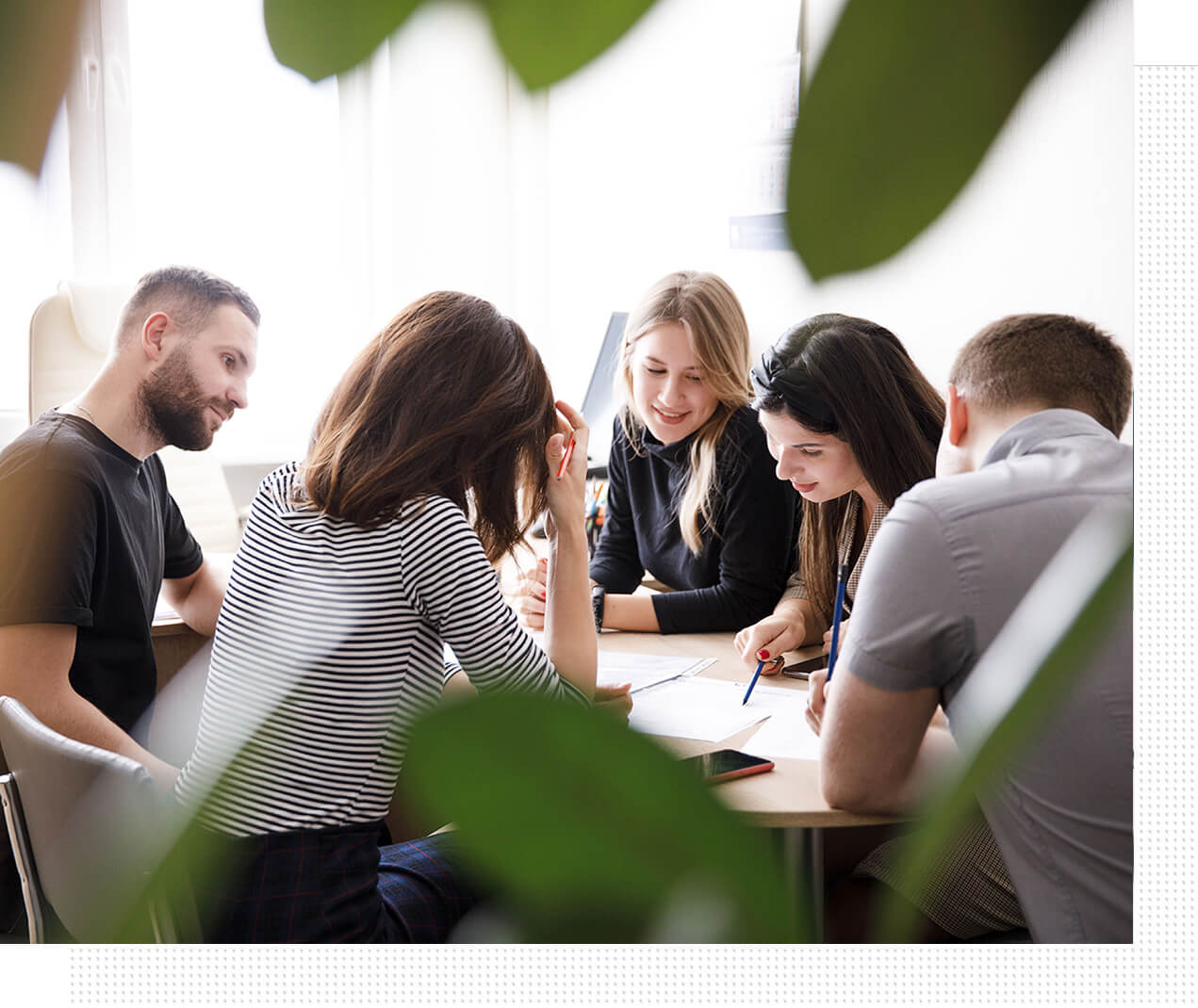 карьера в белгоспроект